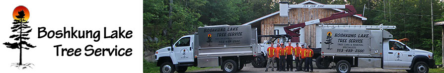  Boshkung Lake Tree Service logo, and Staff of certified arborists with bucket truck  